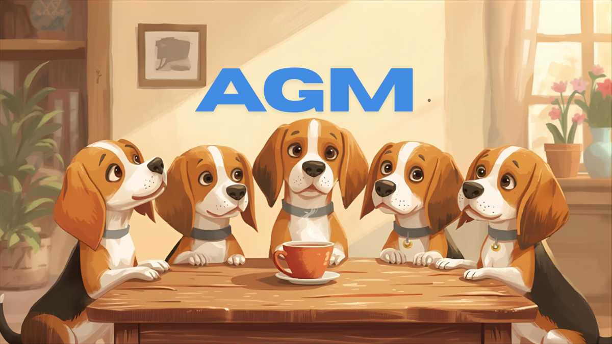 AGM - 23 November 2025