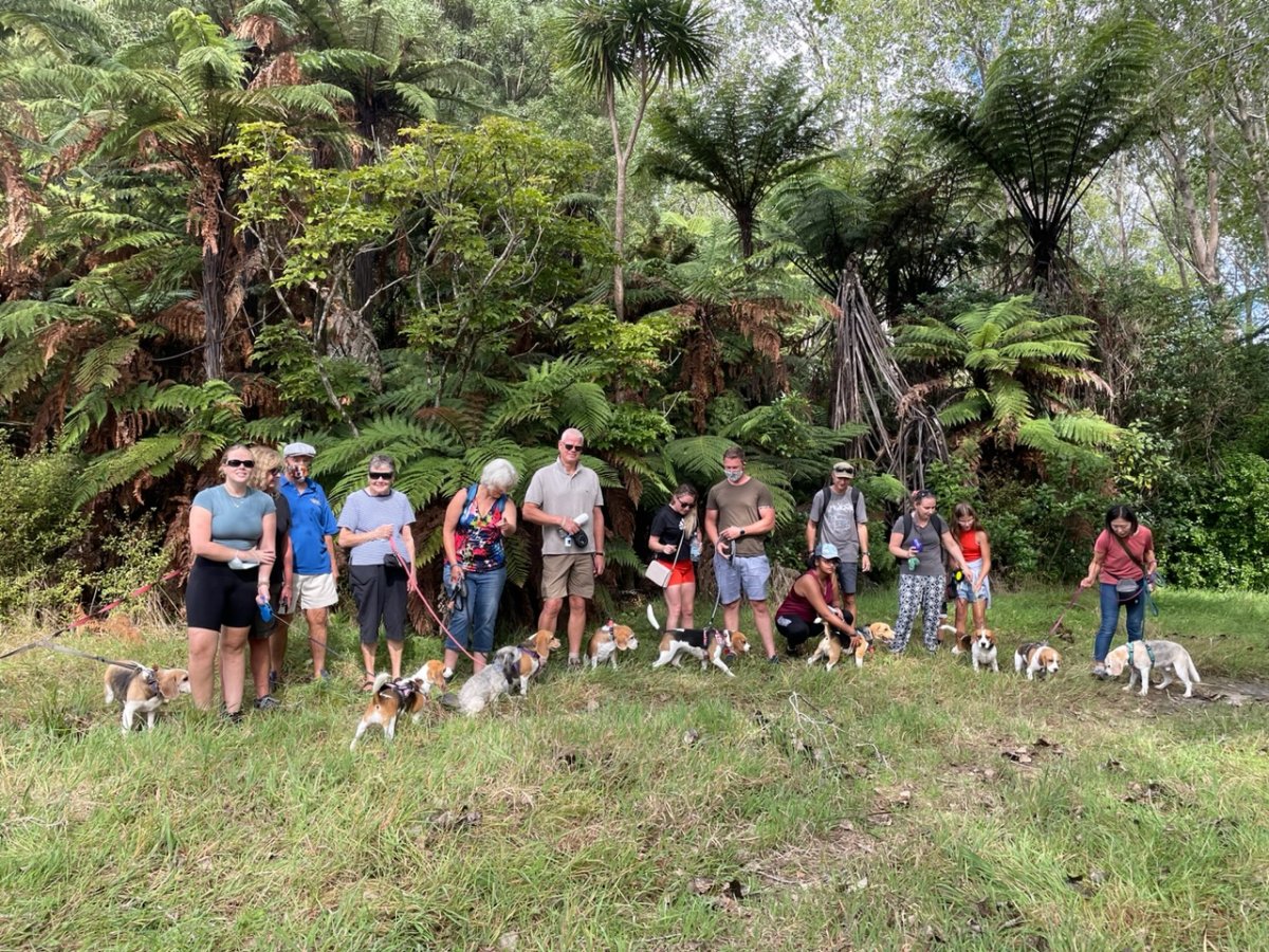 Beagle Walk - Westhaven Promenade, Westhaven, St Marys Bay - Sunday, 24 August 2025 