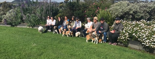 Beagle Walk - Churchill Park, Glendowie - Sunday, 2 November 2025