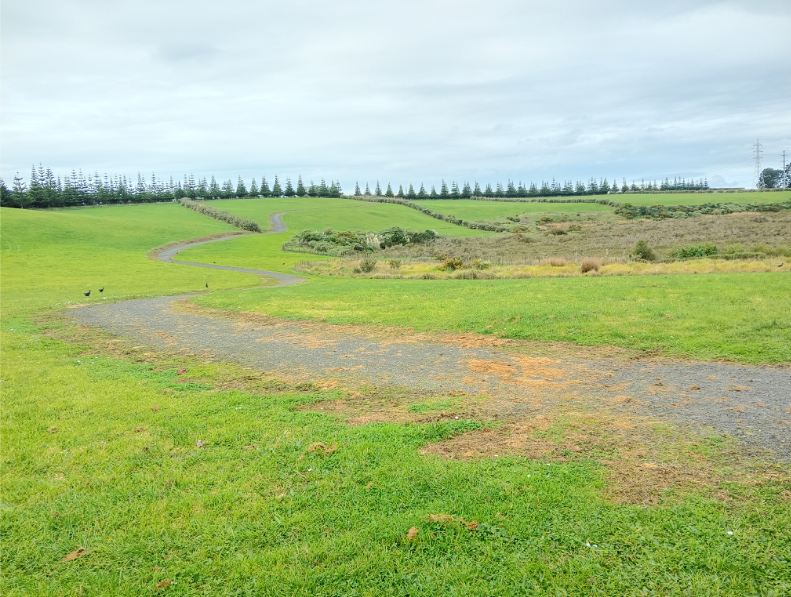 The upper side of the park