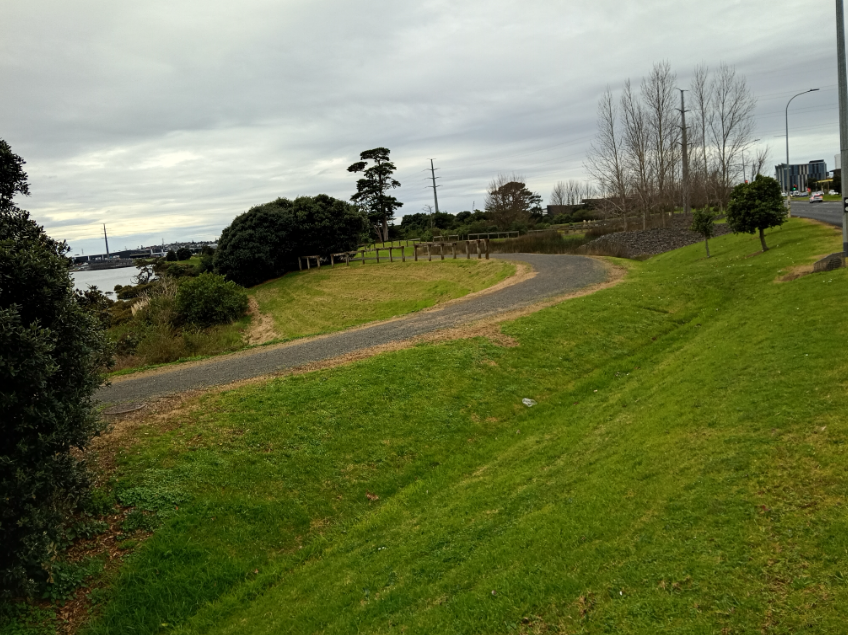 The lower side of the park