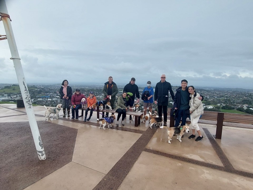 Beagle Walk - Maungawhau, Mount Eden - Sunday, 29 November 2026 