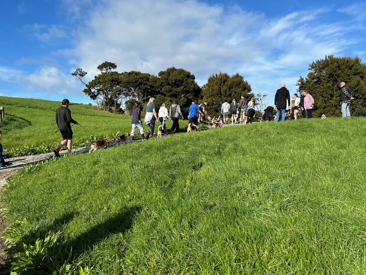 Beagle Walk - Te Atatu Peninsula, Orangihina Park, West Auckland - Sunday, 23 June 2024