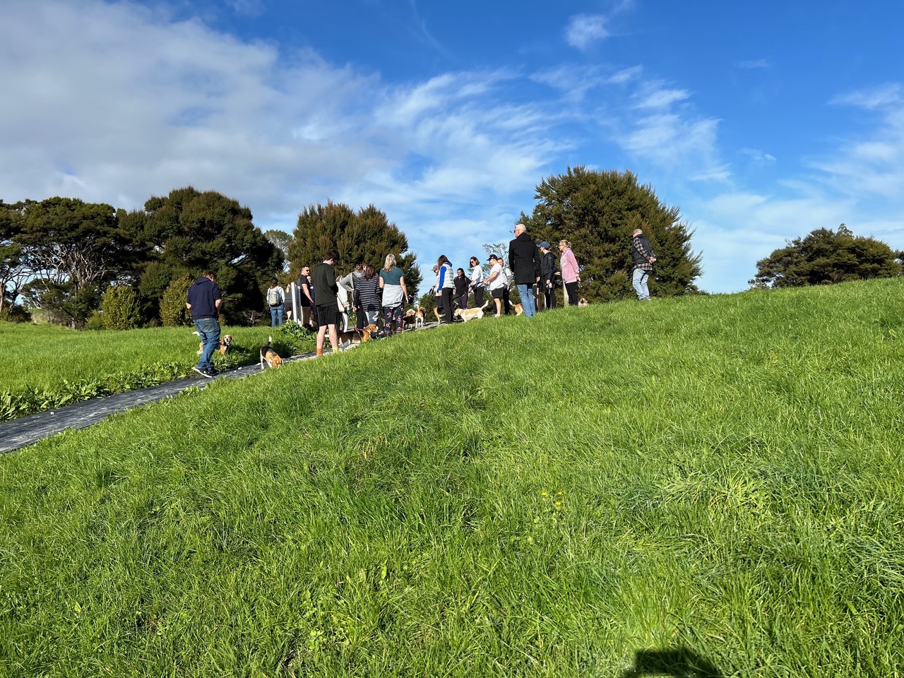 Beagle Walk - Maungawhau, Mount Eden - Sunday, 9 July 2023 